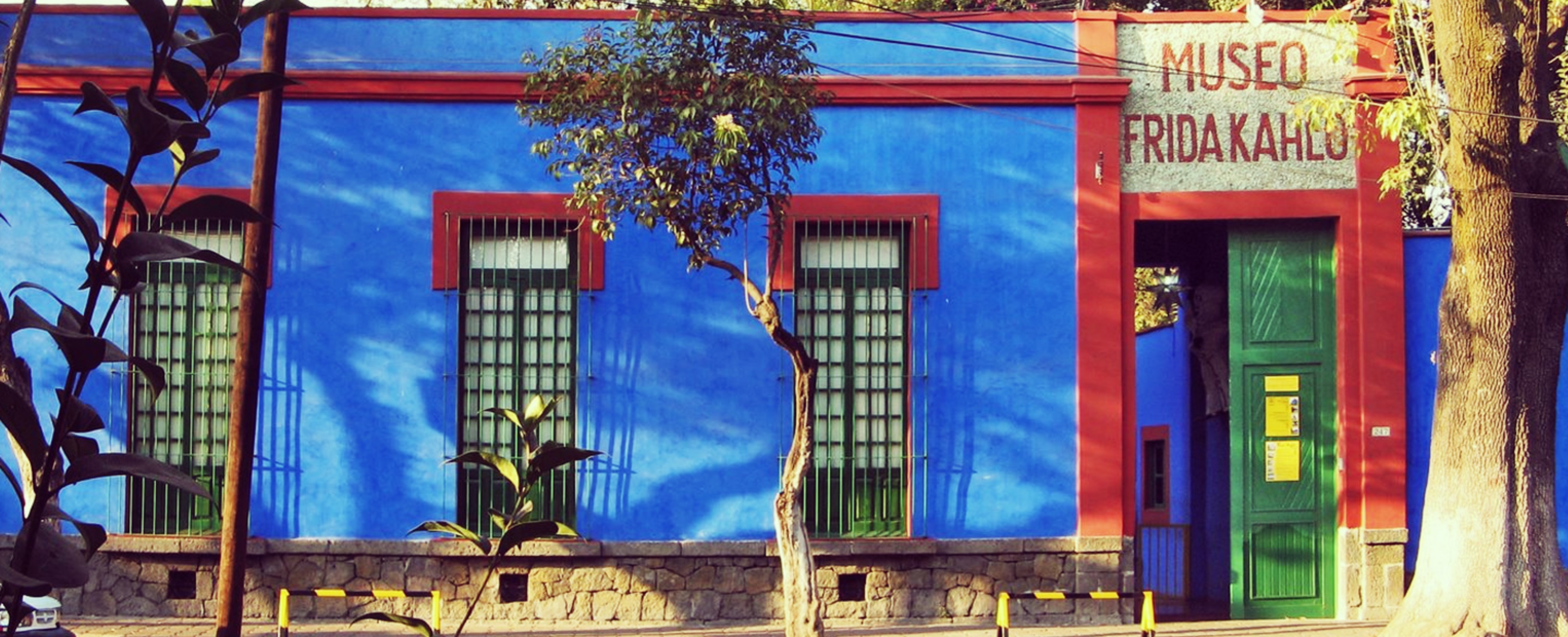 Image result for frida kahlo's house